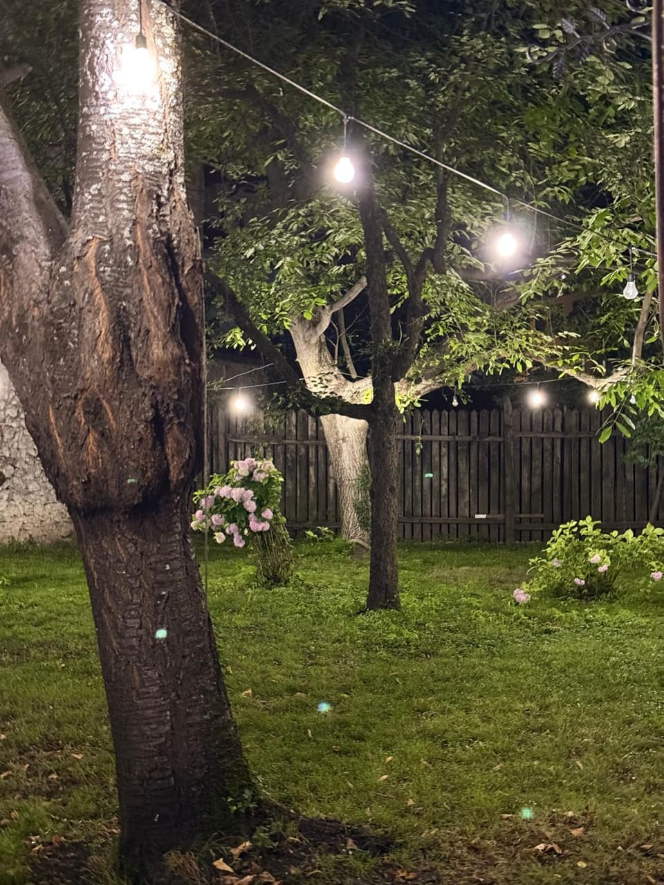 Apartments and Rooms MN, Konjic Bed and Breakfast in Federation of Bosnia and Herzegovina