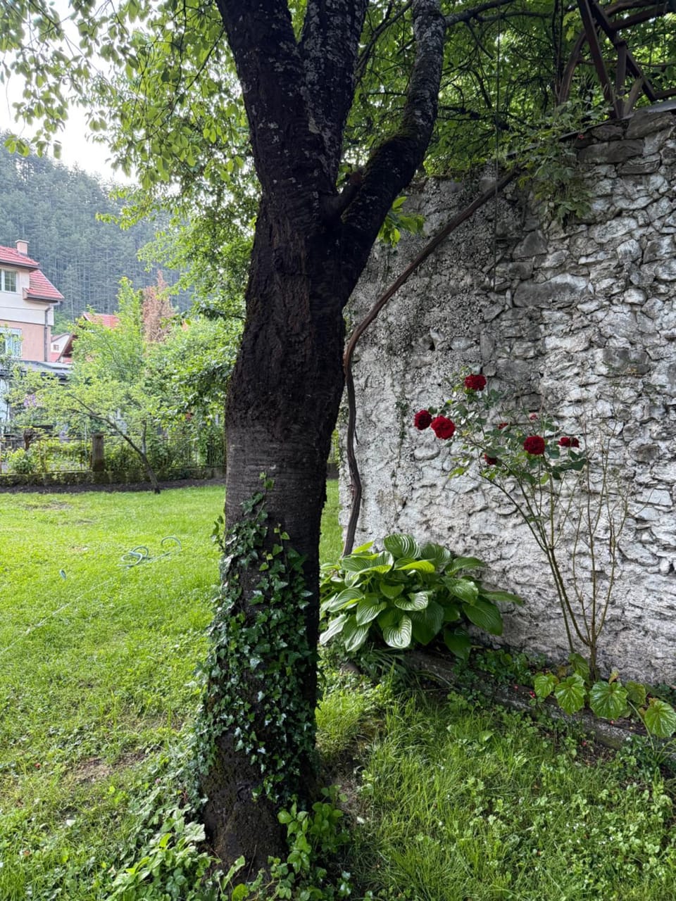 Apartments and Rooms MN, Konjic Bed and Breakfast in Federation of Bosnia and Herzegovina