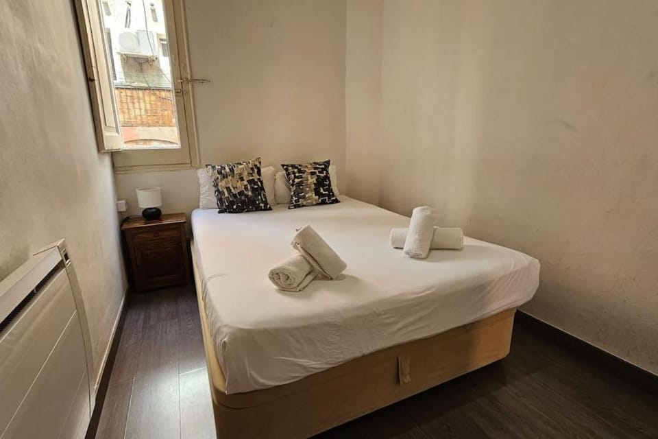Romantic 19th century apartment Apartment in Barcelona