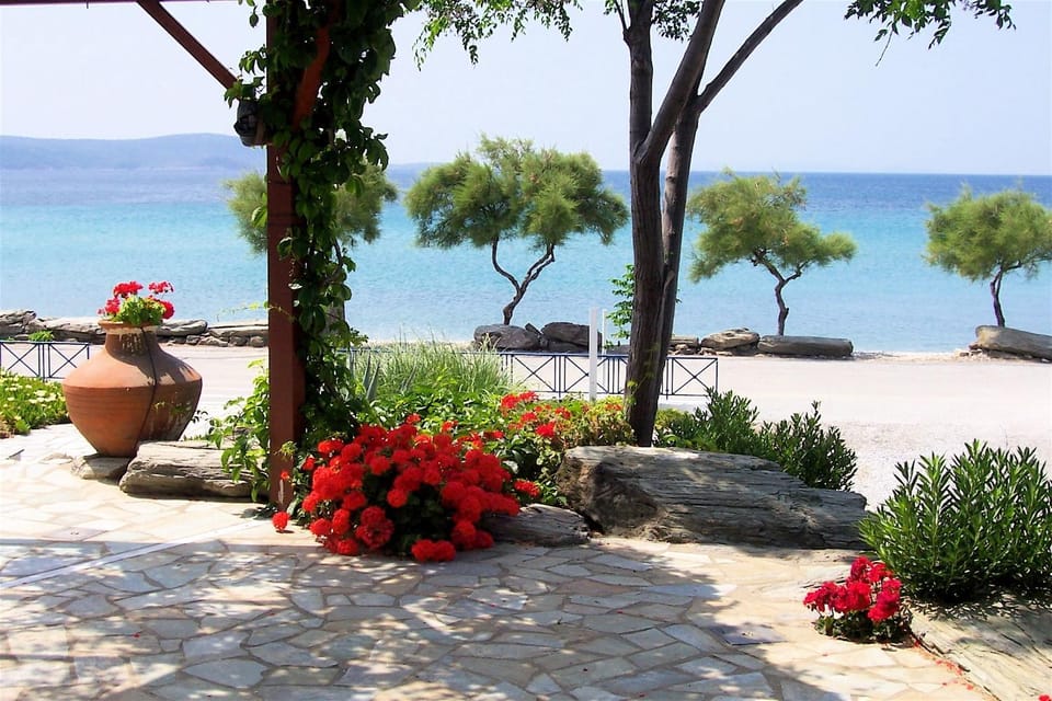 Garden, Sea view