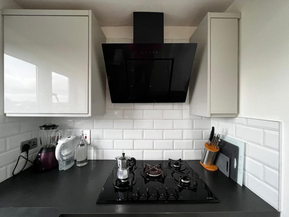 Plaistow comfort- single room Vacation rental in London