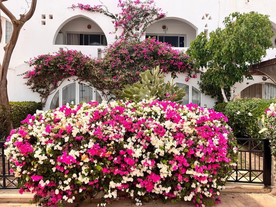 Un sogno di fronte Lago Salato Apartment in Sharm El-Sheikh