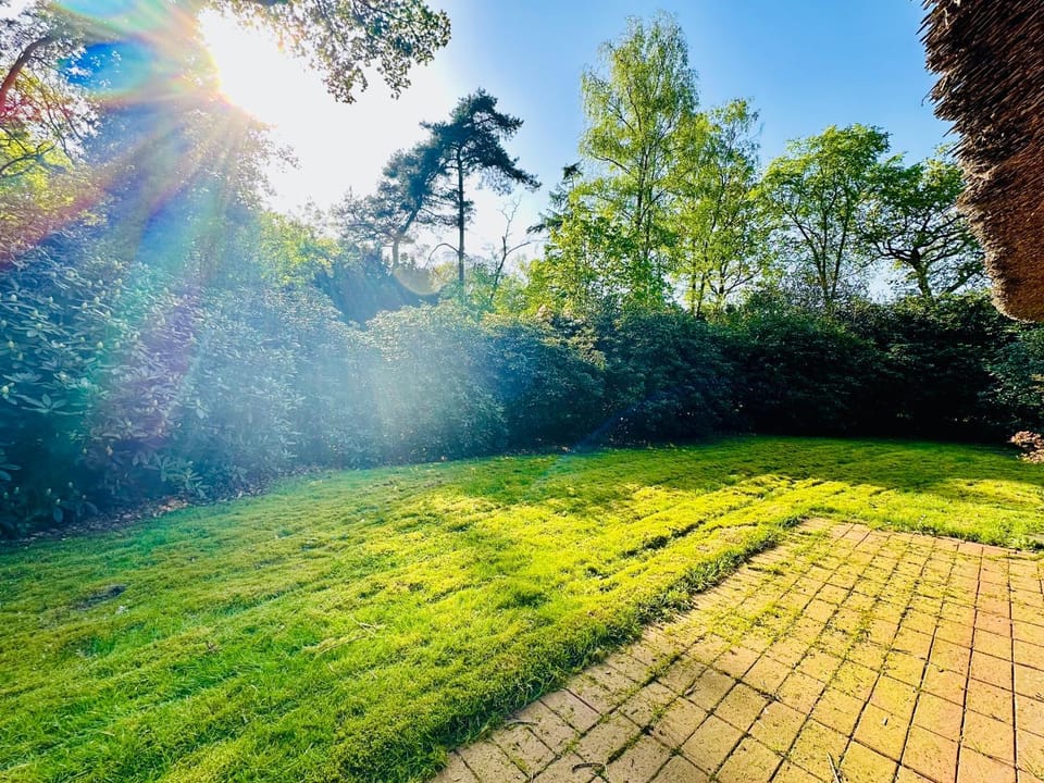 Garden, Garden, Balcony/Terrace, Garden view