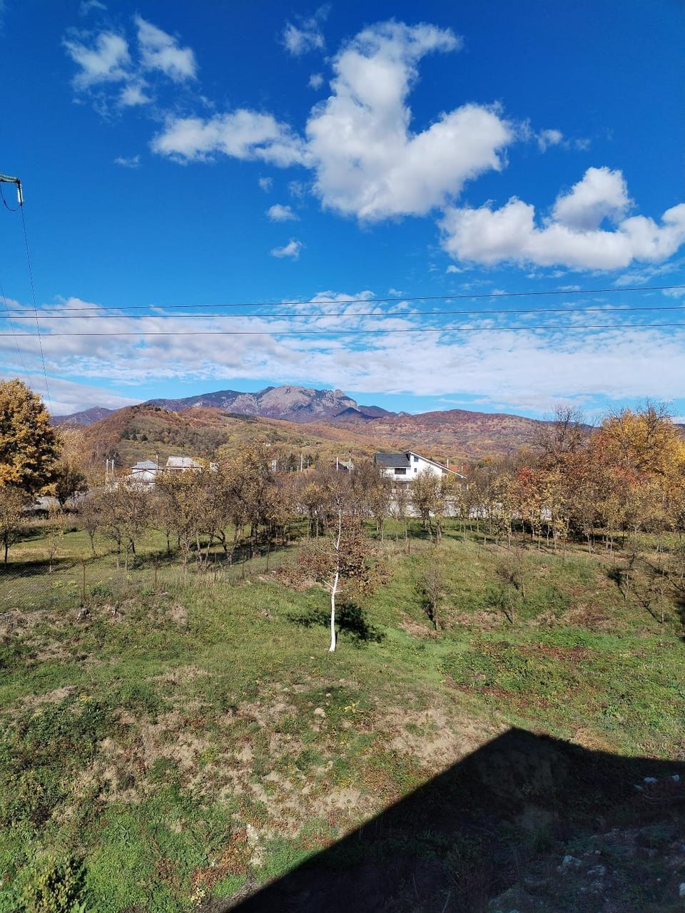 View (from property/room)