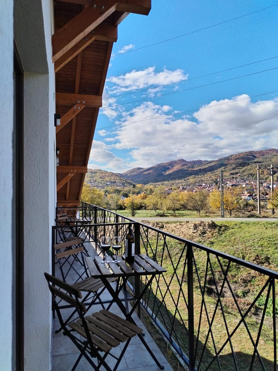 Pensiunea Subcarpati Bed and Breakfast in Romania