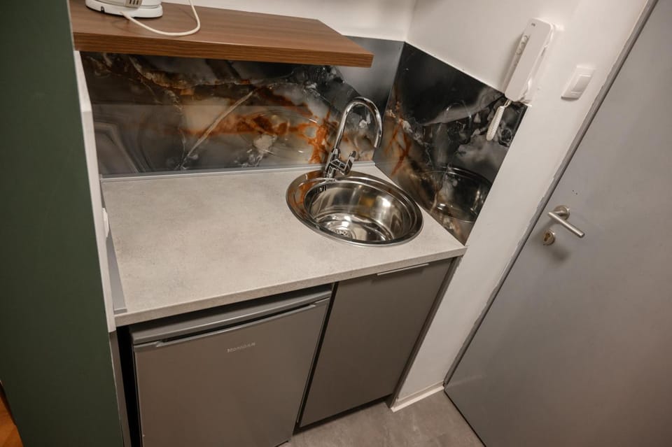 BS Studio Apartman Apartment in Slovenia