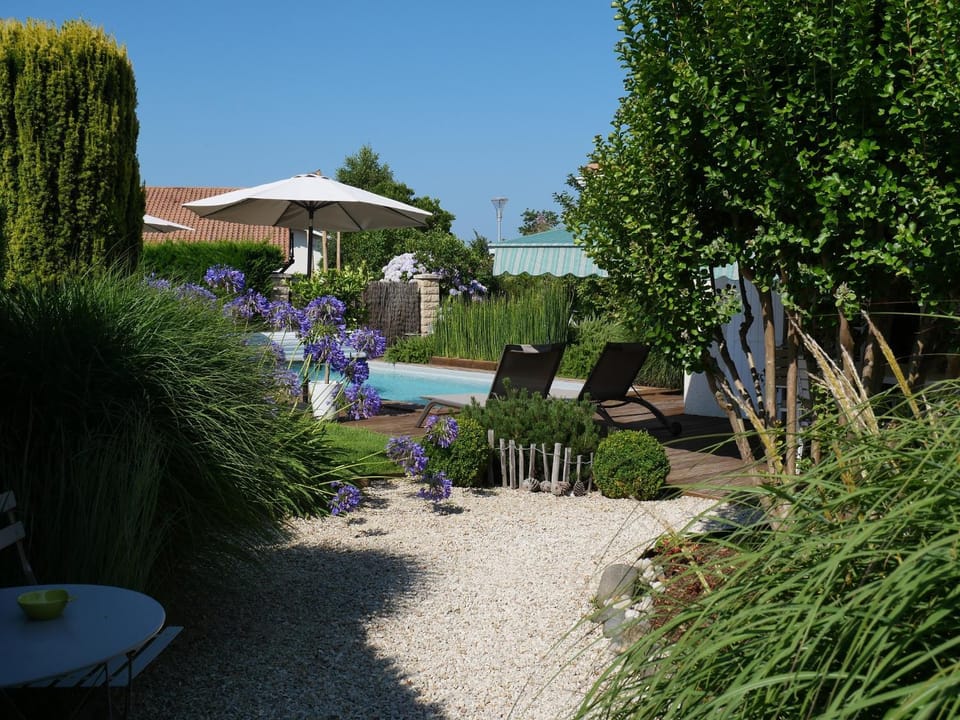 Garden, Garden view, Swimming pool
