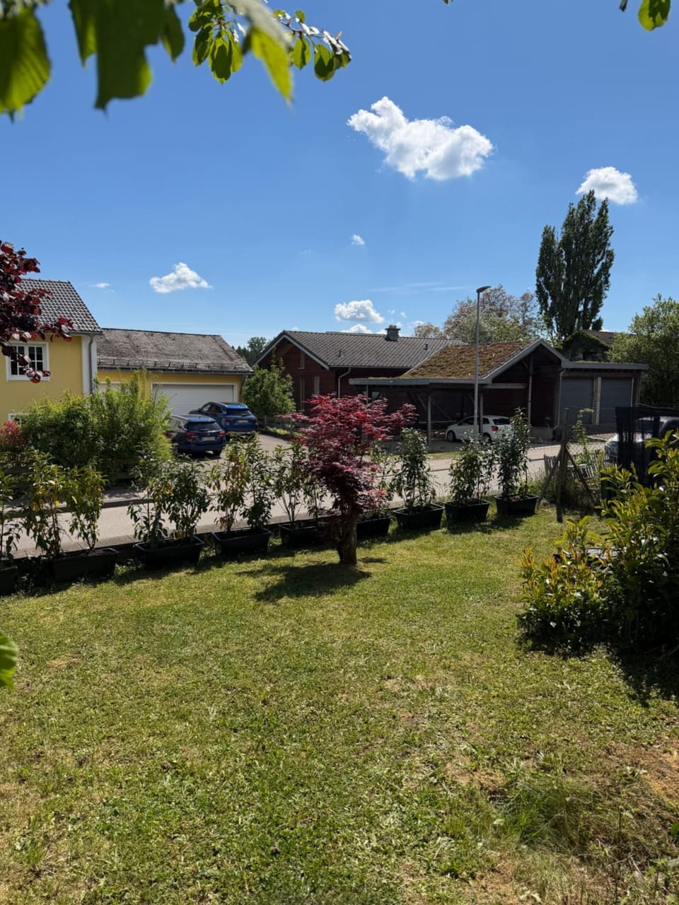 Gemütlich Wohnung im Schwarzwald Apartment in Baden-Württemberg