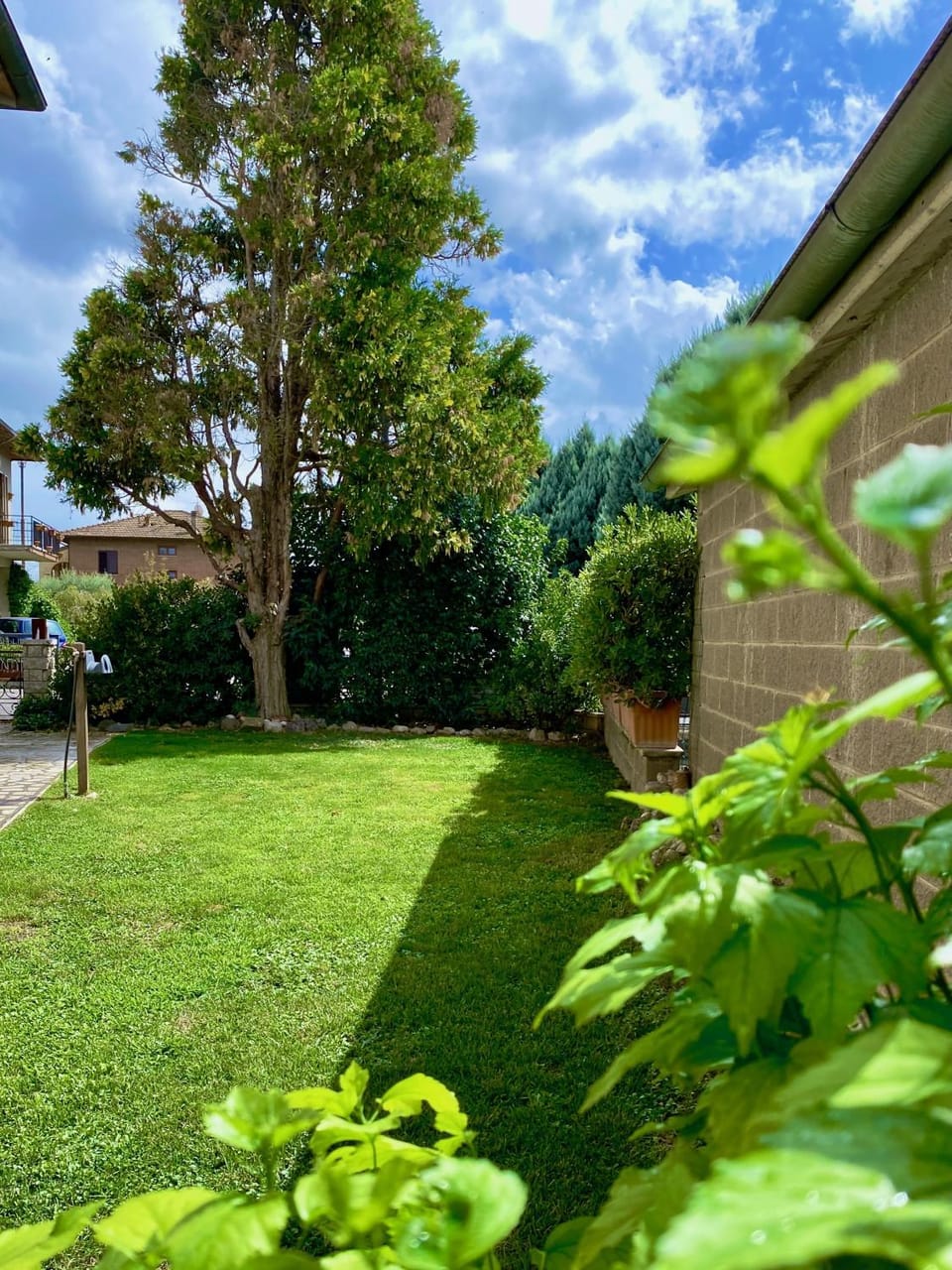 Natural landscape, Garden, Garden view