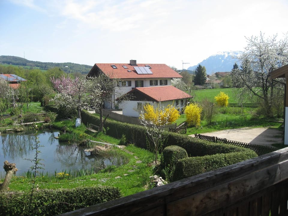 View (from property/room), Mountain view