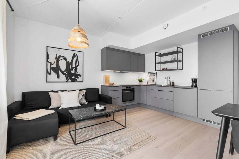 High standard apartment in city center Apartment in Oslo