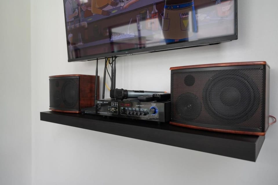 Karaoke, TV and multimedia