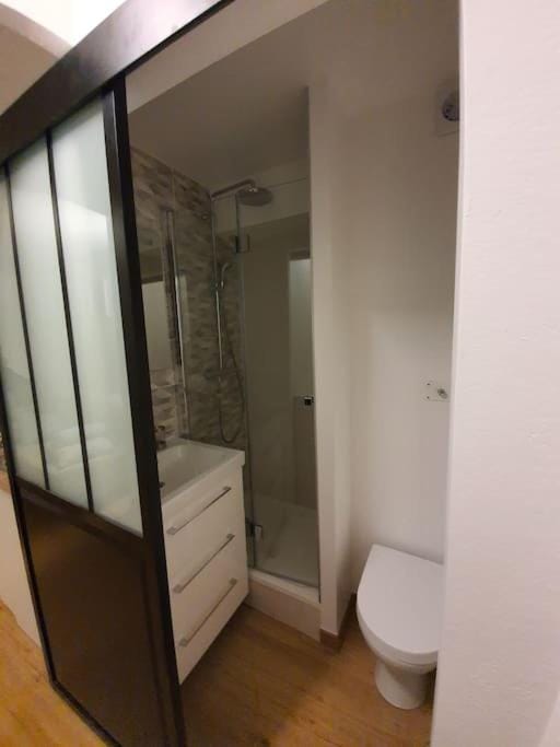 Pretty little flat near from DisneyLand Paris Apartment in Bussy-Saint-Georges