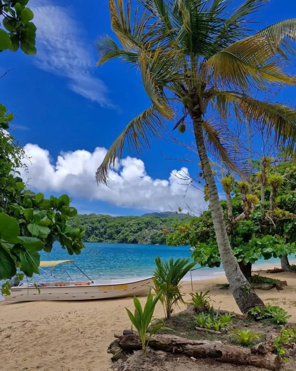 Natural landscape, Beach, Sea view