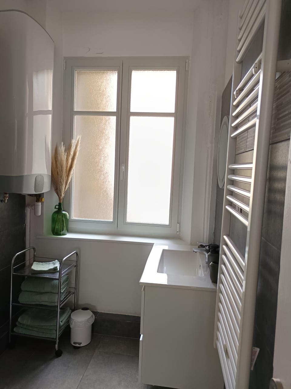 Bathroom, hair dryier, towels