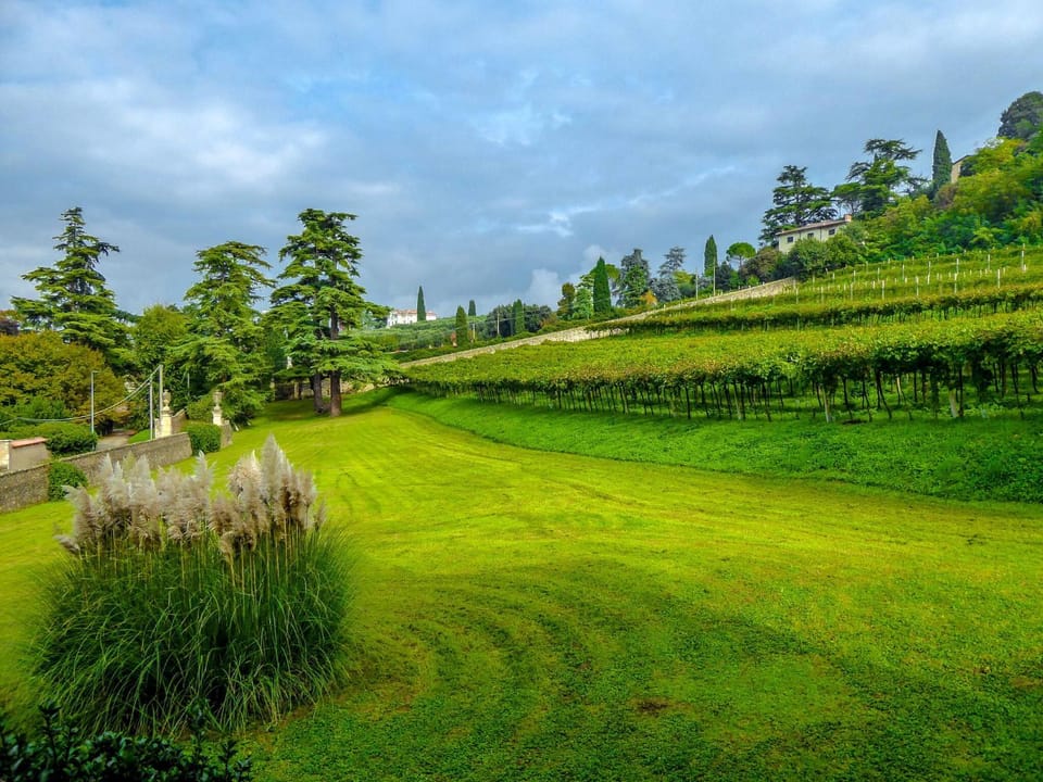 Property building, Spring, Winter, Summer, Garden, View (from property/room), Autumn