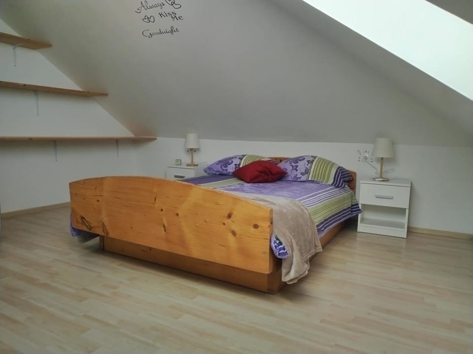 Panoramic View Apartment in Slovenia
