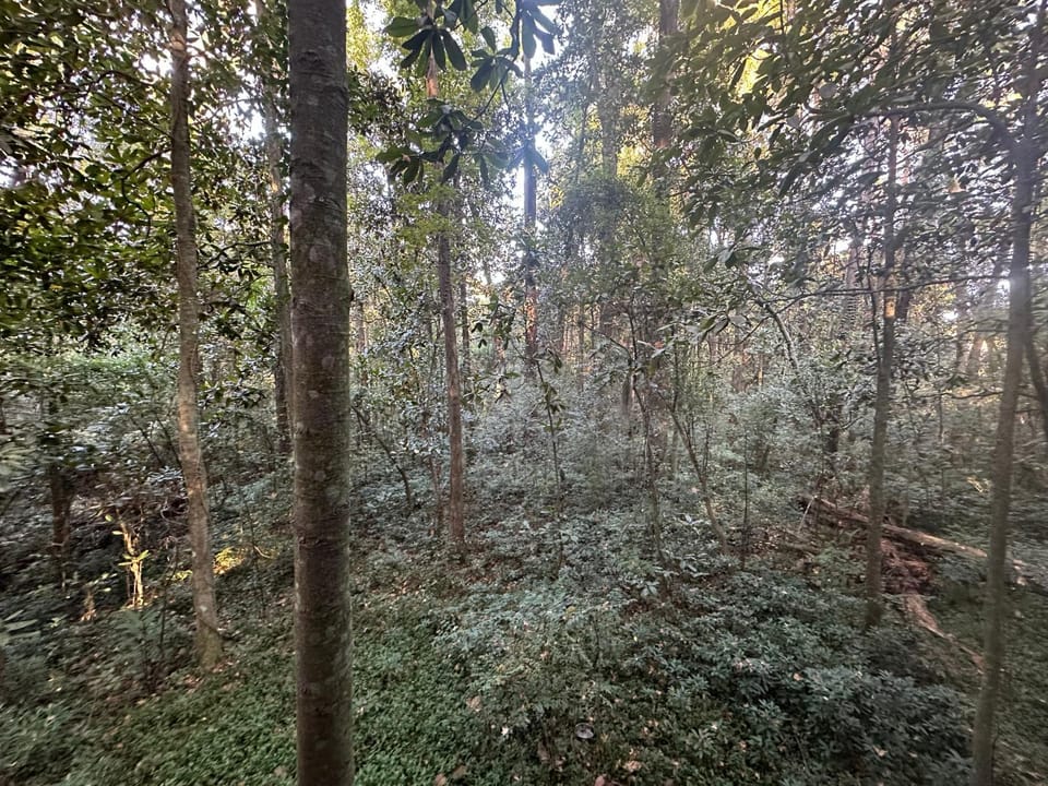 Natural landscape