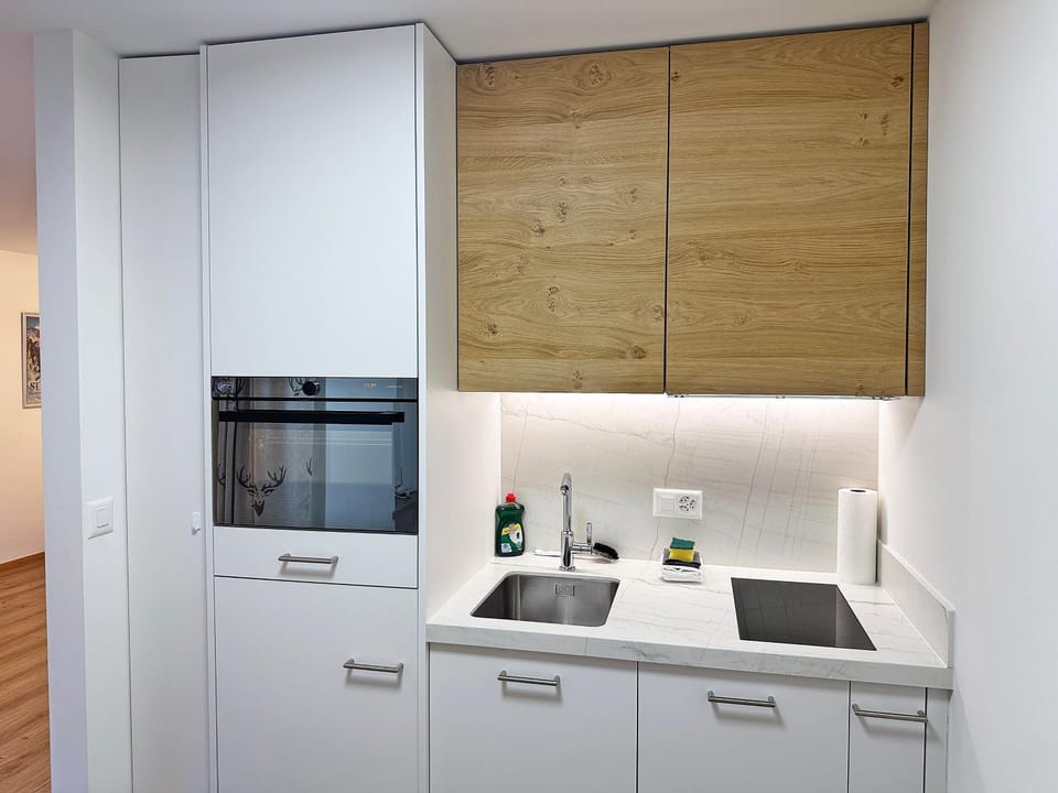 Kitchen or kitchenette, dishwasher, oven, stove