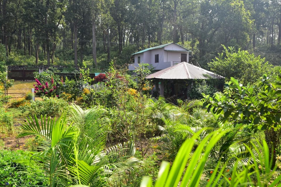 Garden view