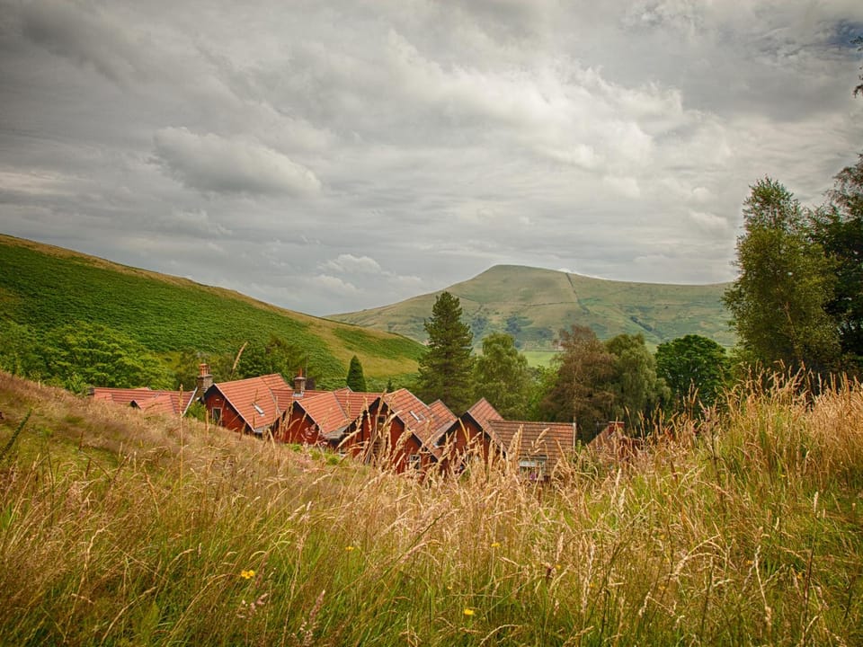 Natural landscape