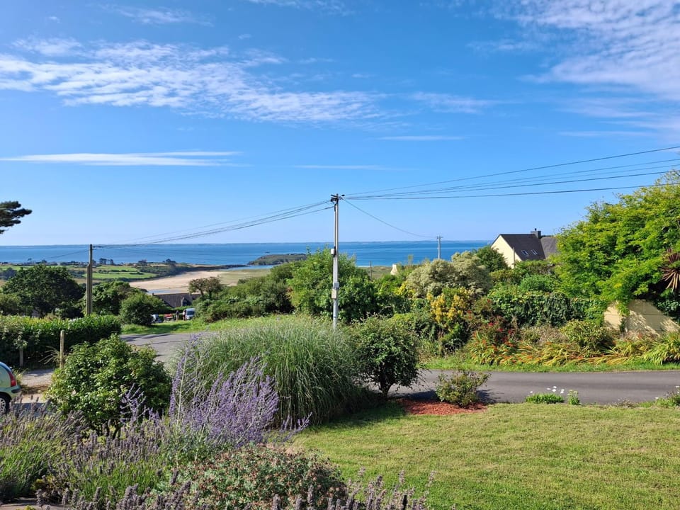 Garden, Sea view, Sea view