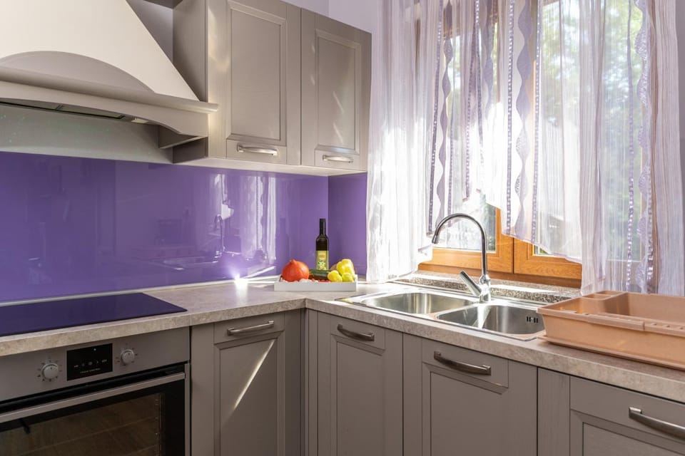 Kitchen or kitchenette, dishwasher, stove