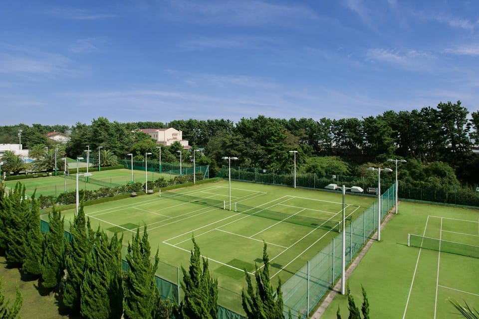 Tennis court