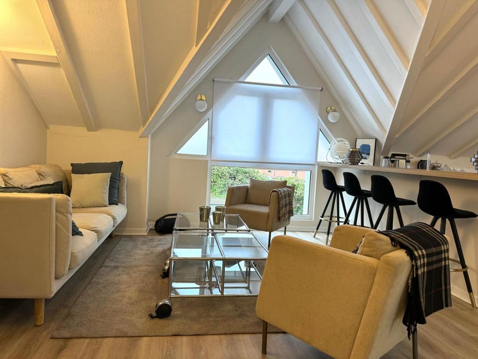 Duplex JOSEPHINE Climatisé Apartment in Colmar