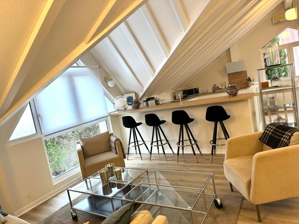Duplex JOSEPHINE Climatisé Apartment in Colmar