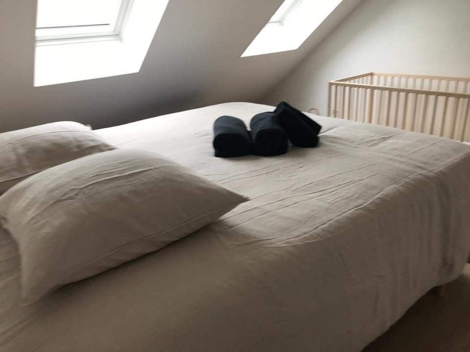 Duplex LOUIS Climatisé Apartment in Colmar