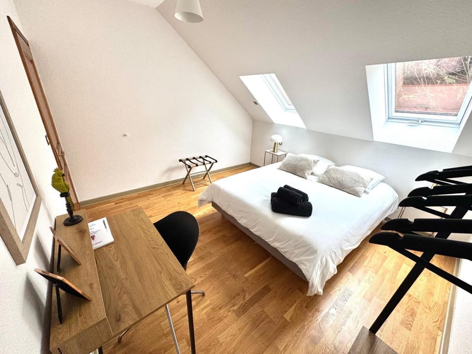Gîte ARTHUR Climatisé Apartment in Colmar