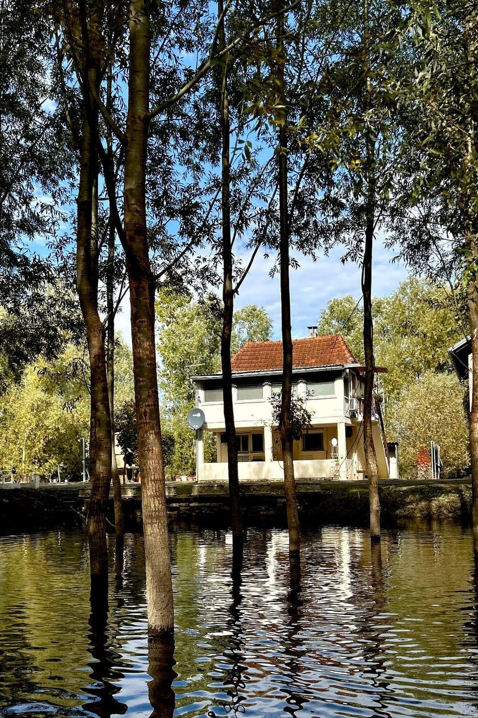 Property building, Day, Natural landscape