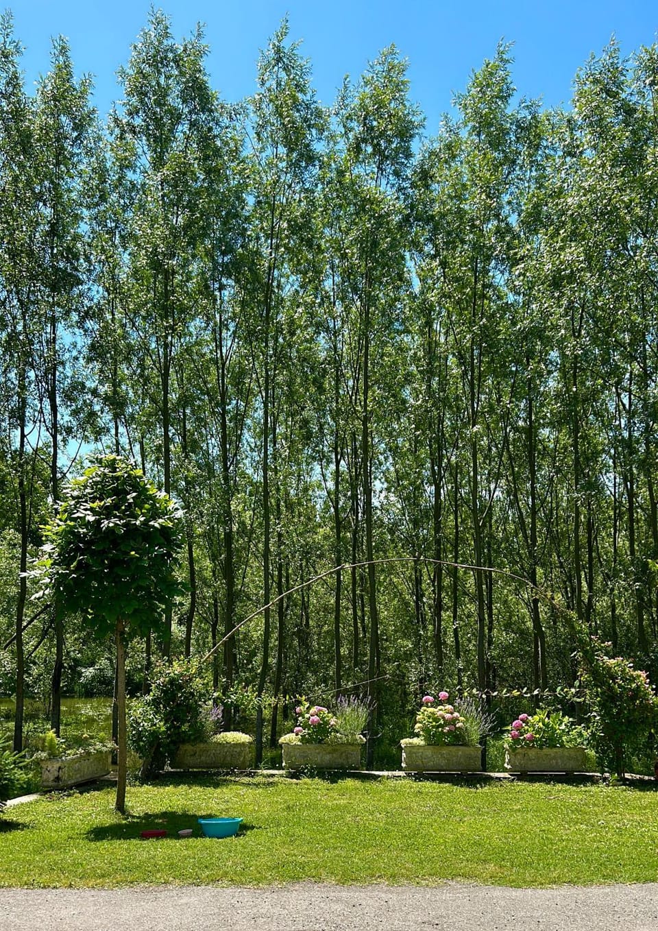 Day, Natural landscape, Garden, Garden view
