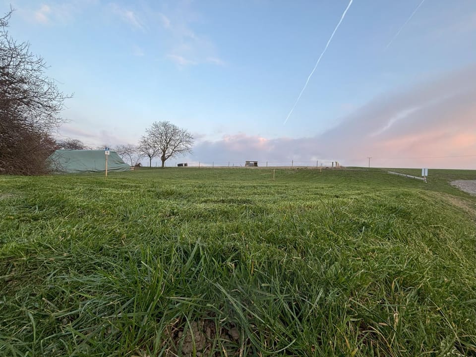 Natural landscape