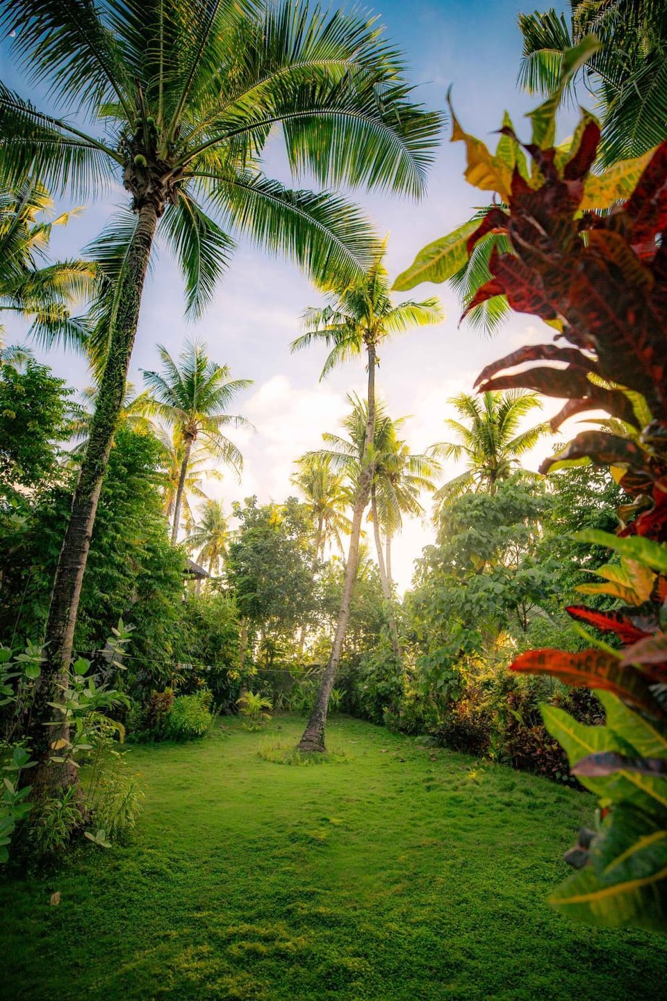 Natural landscape, Garden view
