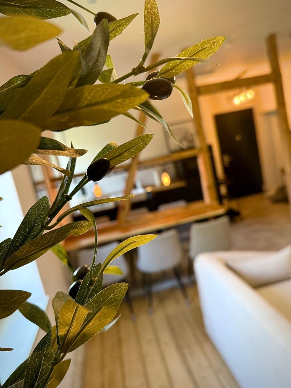 Living room, Photo of the whole room, Decorative detail