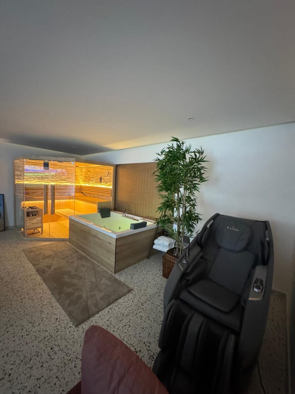 Massage, Sauna, Spa and wellness centre/facilities