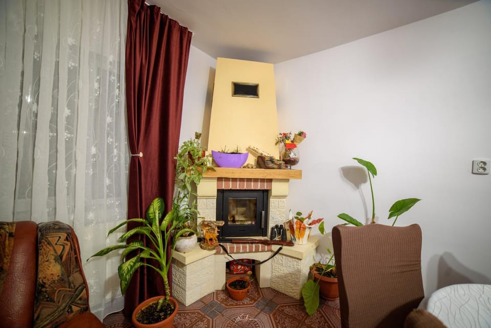 Living room, fireplace, Internal: Not applicable to any particular room