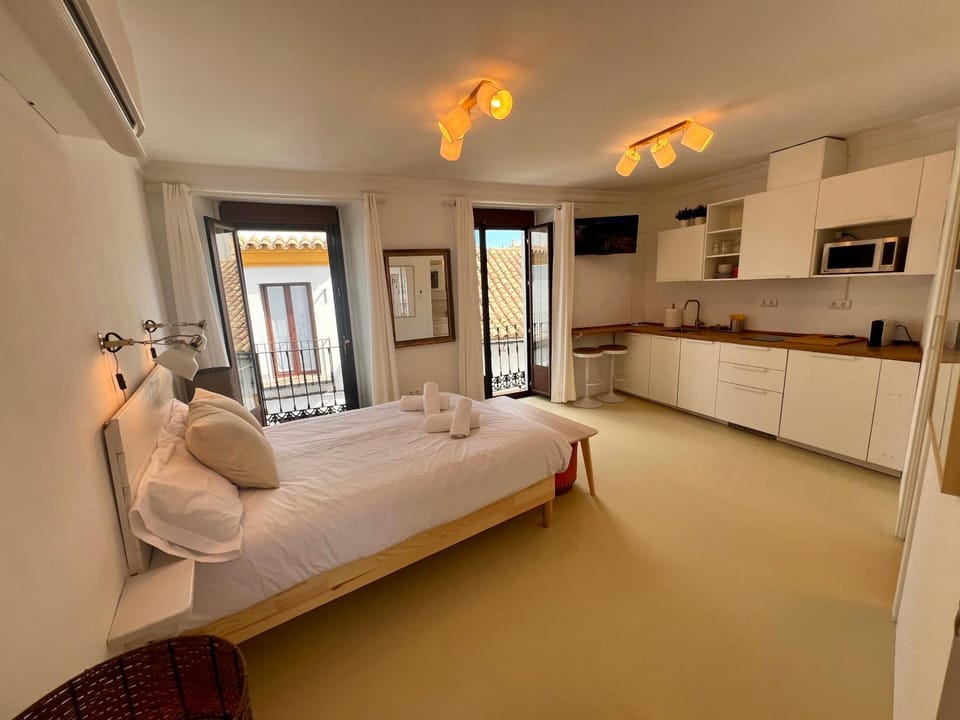 Bed, TV and multimedia, Kitchen or kitchenette, Photo of the whole room, Bedroom