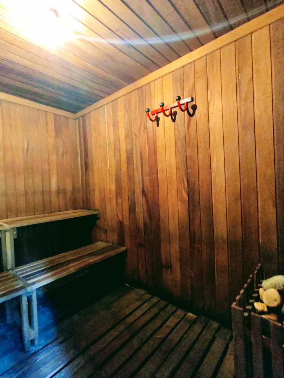 Sauna, Spa and wellness centre/facilities, Swimming pool