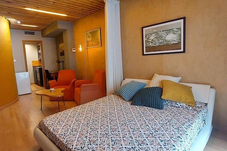 Estudio de diseño con parking en el centro Apartment in Huesca