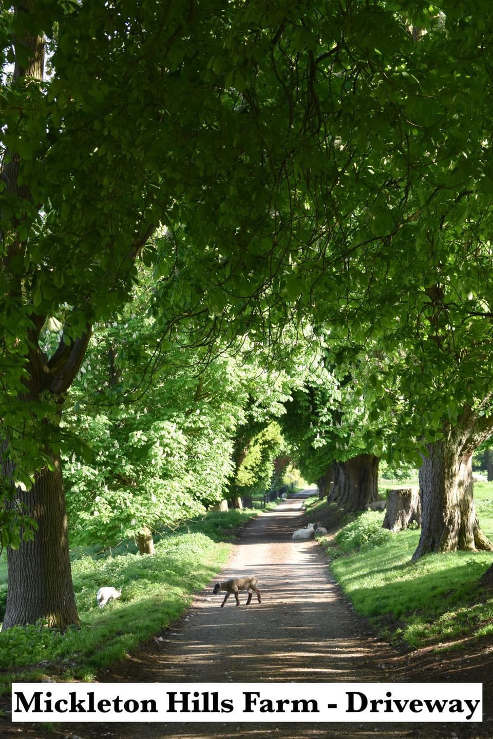 Mickleton Hills Farm Cotswold Holiday Cottages House in Wychavon District