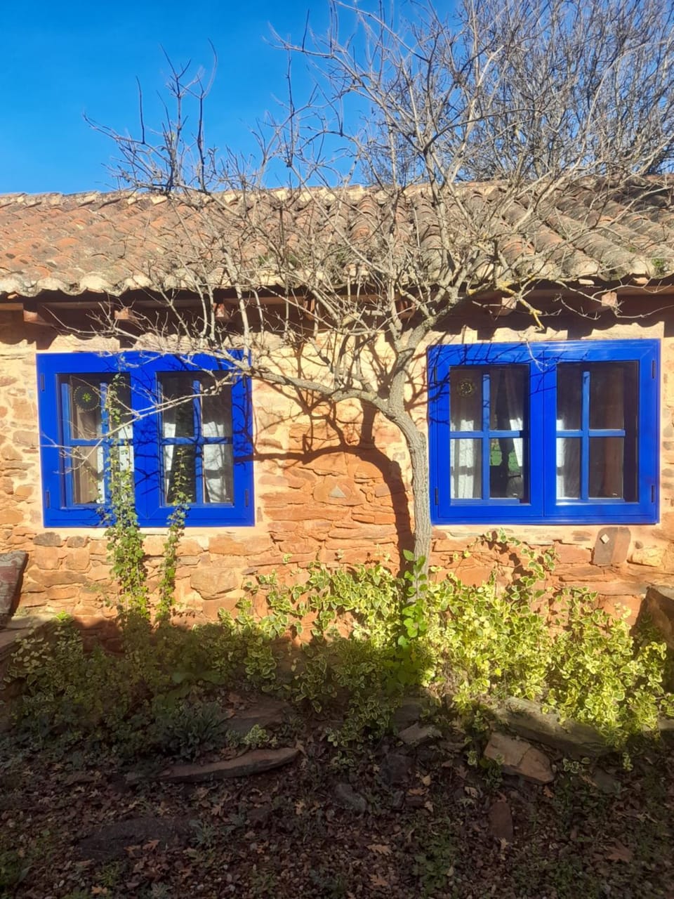 Property building, Spring, Day, Garden, Garden view