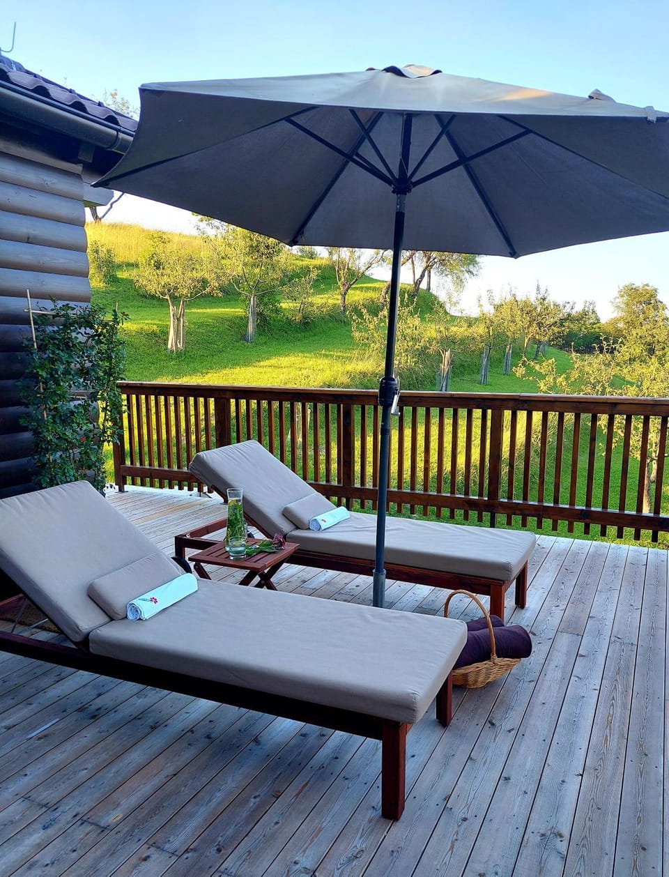 HERBALIJA Apartment Herbalija - sorrounded by Nature Farm Stay in Slovenia