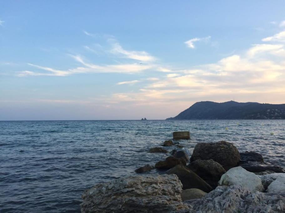 Natural landscape