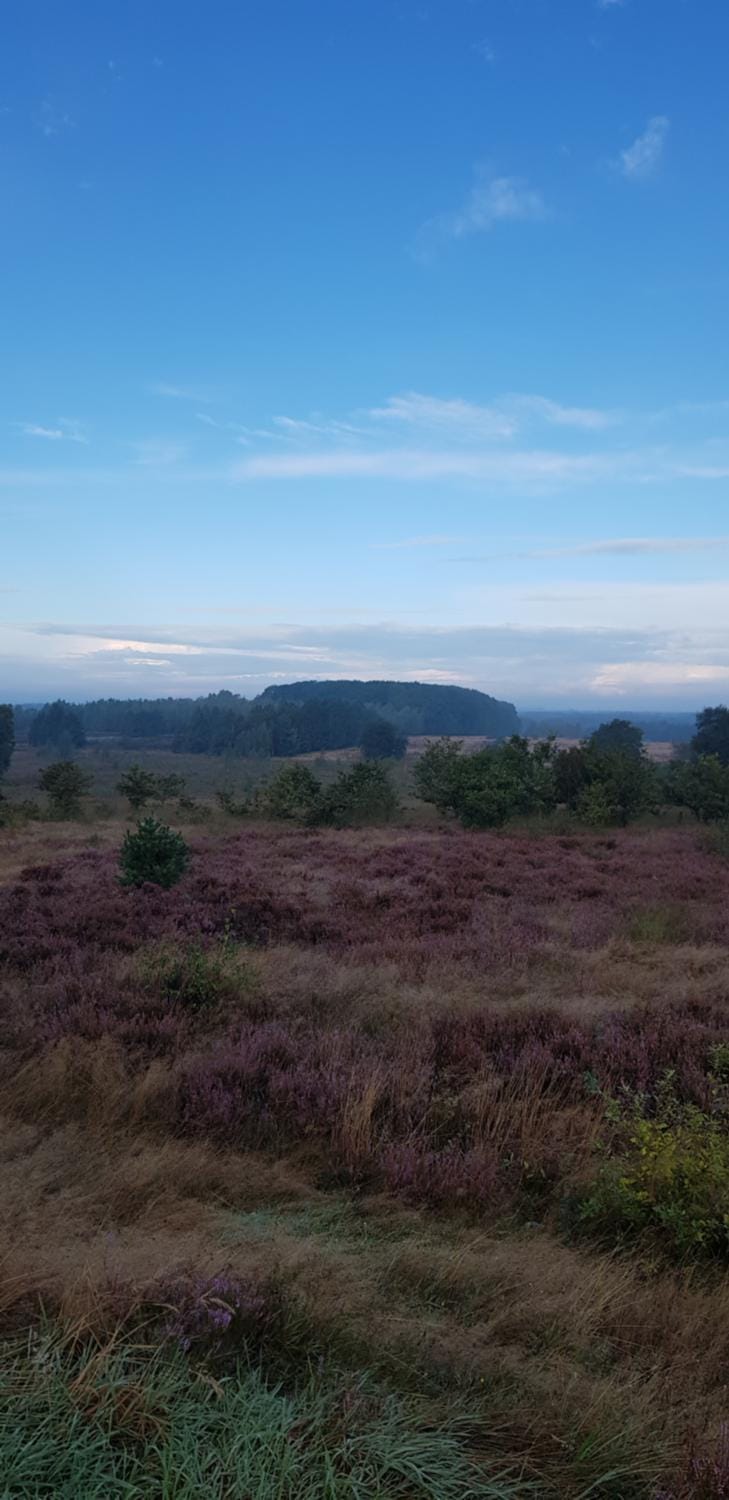 Knus huisje in het bos House in Hoenderloo