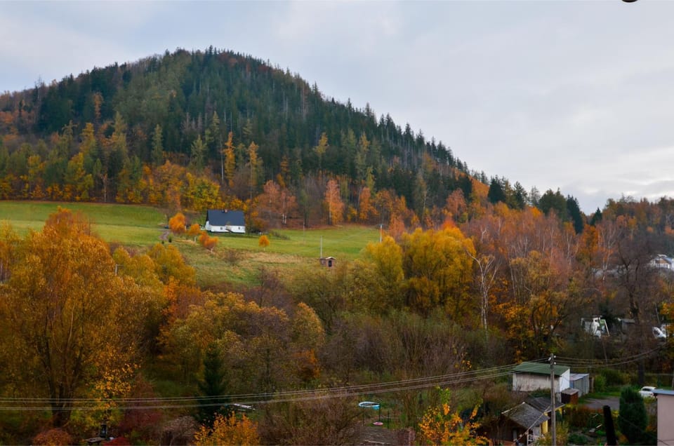 Mountain view
