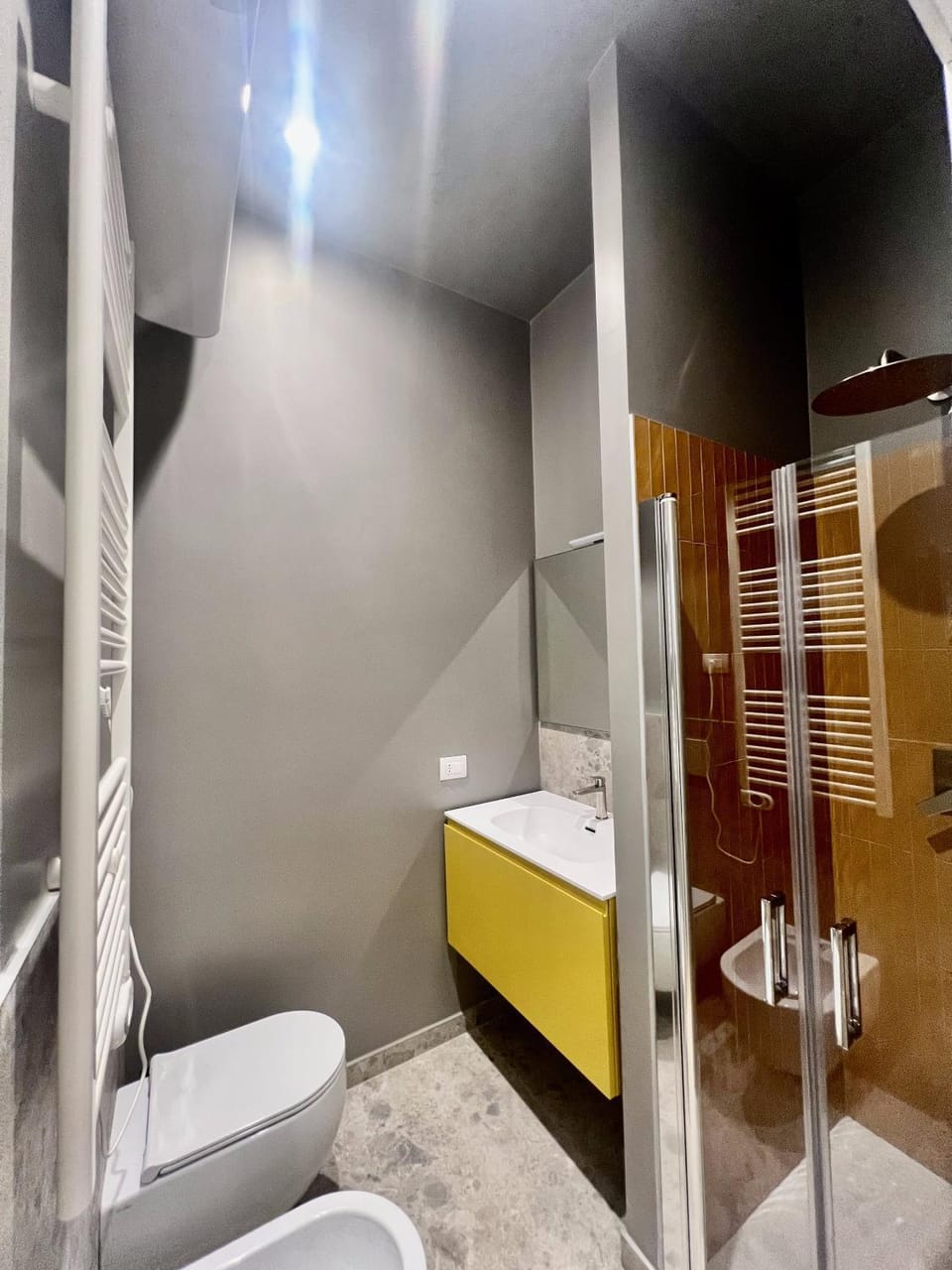 Shower, Toilet, Bathroom, bidet