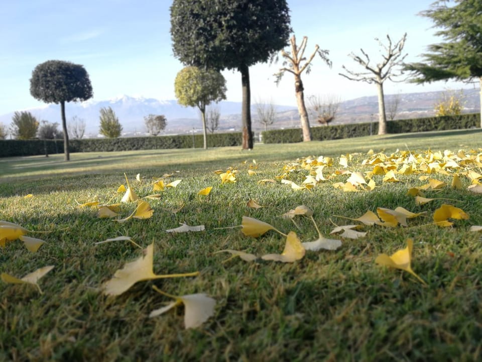 Agriturismo Casamia Farm Stay in Abruzzo